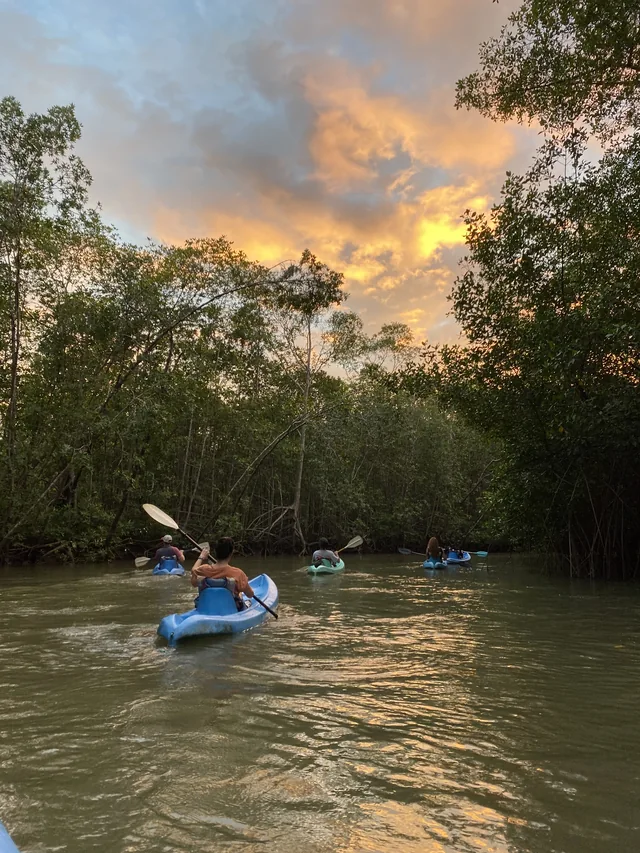 Kayaks on the river at sunset in Costa Rica